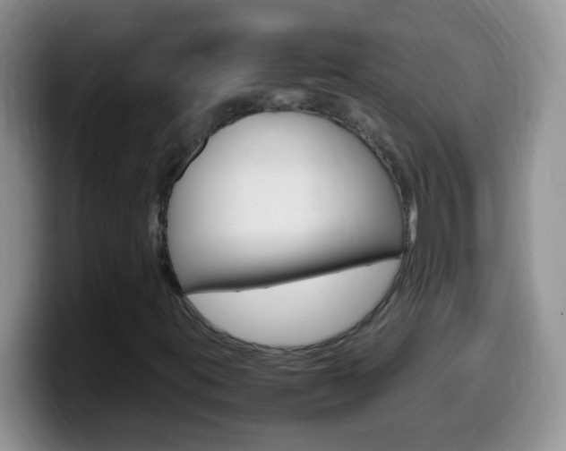 X0000099991395200805231034