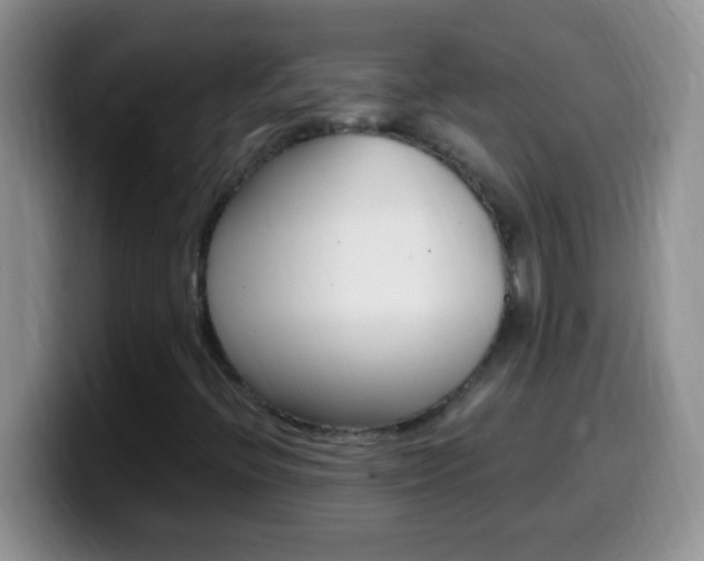 X0000099991396200805231034