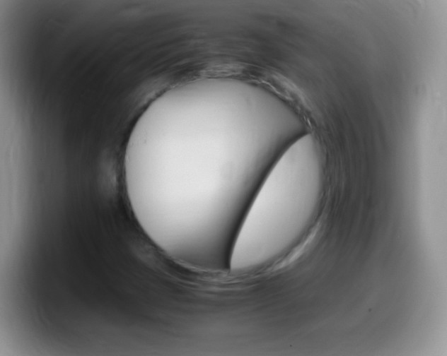 X0000099991401200805231034