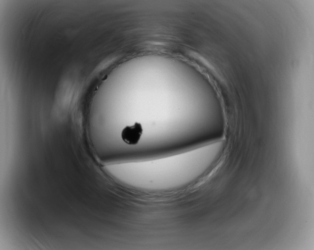 X0000099991402200805231034