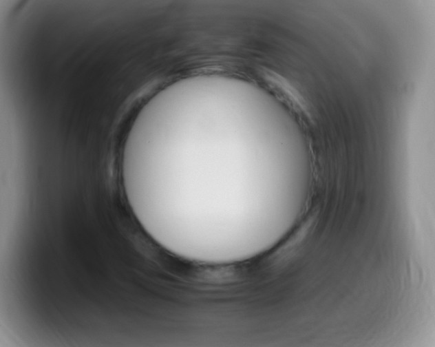 X0000099991403200805231034