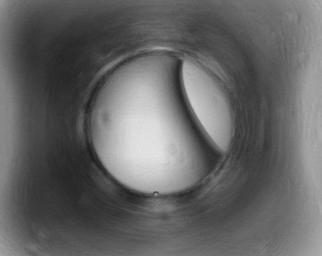 X0000099991404200805231034