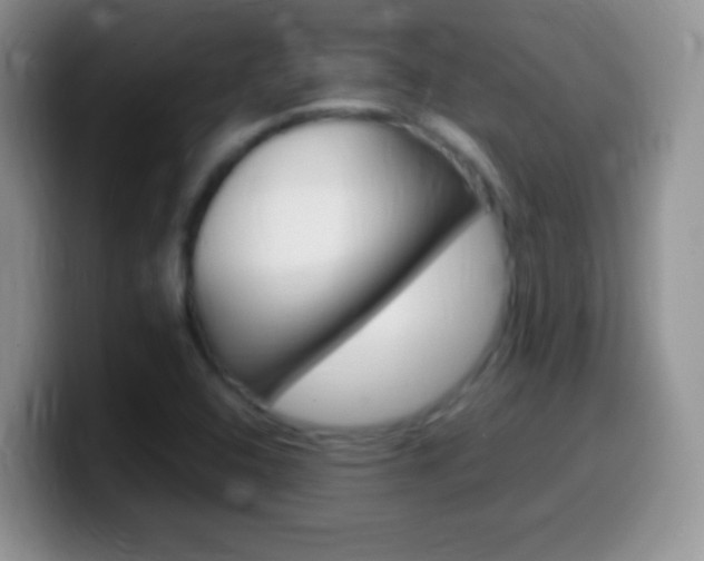 X0000099991408200805231034
