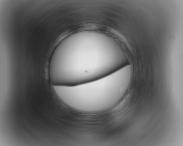 X0000099991409200805231034