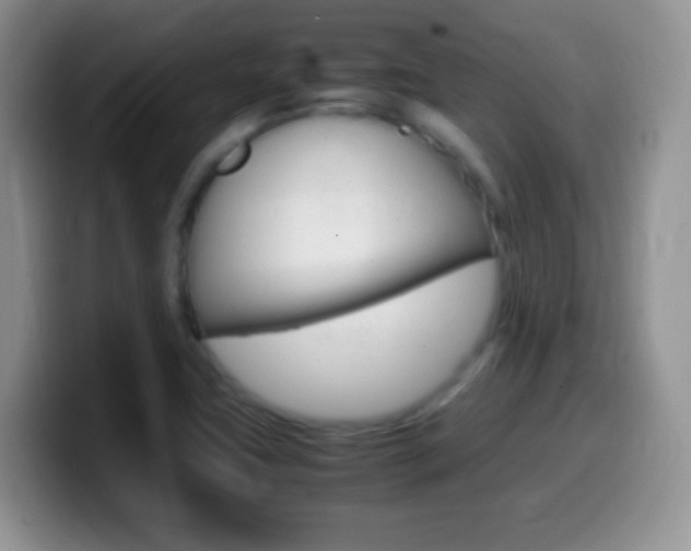 X0000099991411200805231034