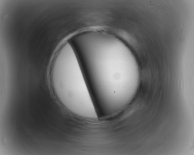 X0000099991412200805231034