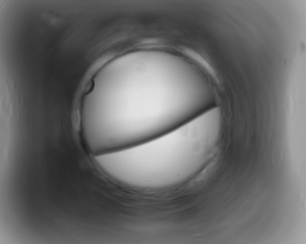 X0000099991413200805231034