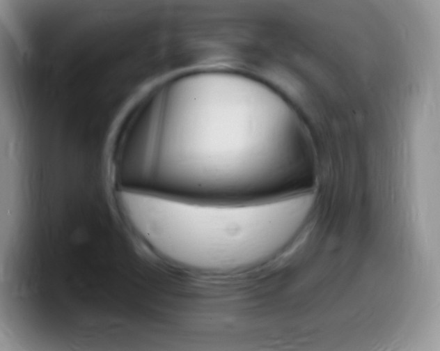 X0000099991414200805231034