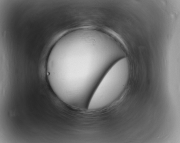 X0000099991415200805231034