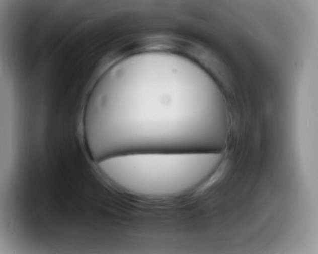 X0000099991417200805231034
