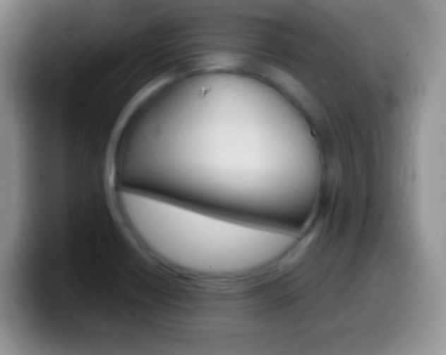 X0000099991418200805231034