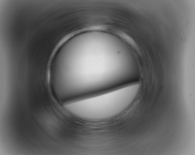 X0000099991420200805231034