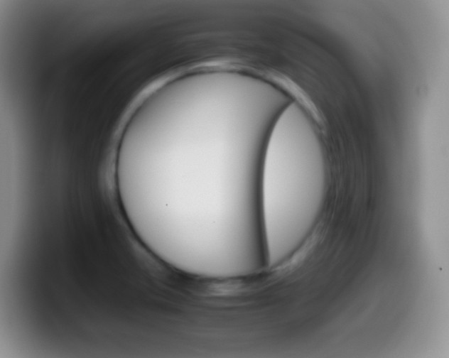 X0000099991421200805231034