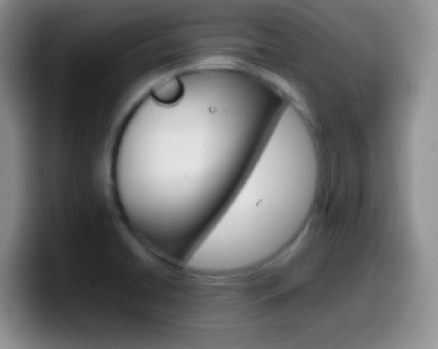 X0000099991422200805231034