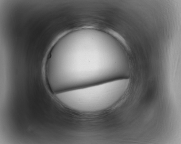 X0000099991423200805231034