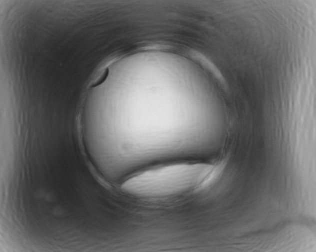 X0000099991425200805231034