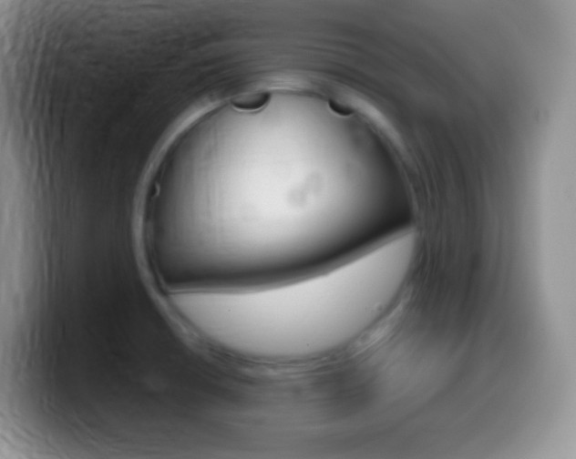 X0000099991426200805231034