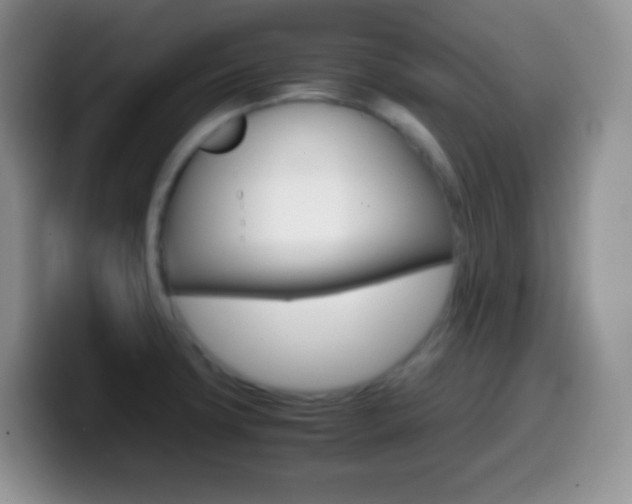 X0000099991427200805231034