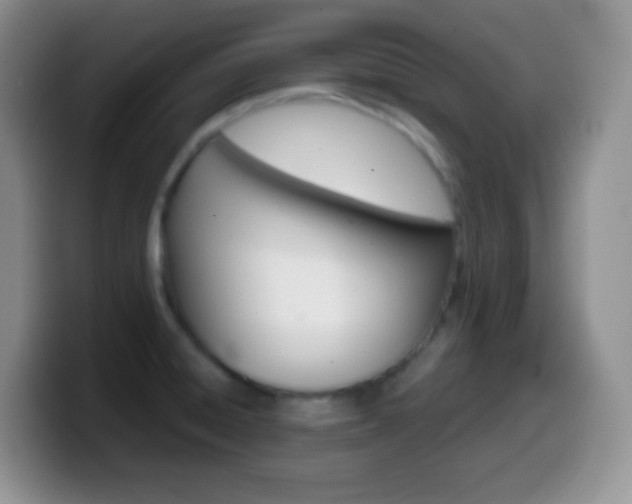 X0000099991428200805231035