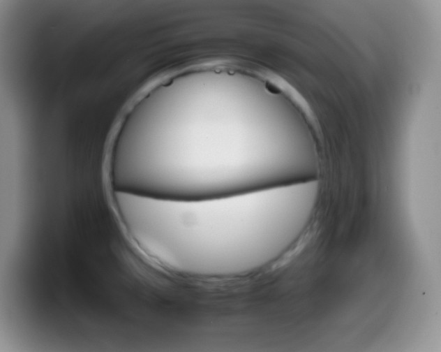 X0000099991429200805231035