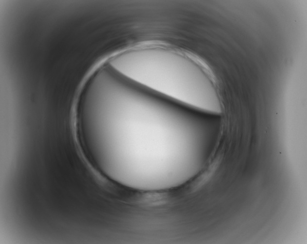 X0000099991430200805231035
