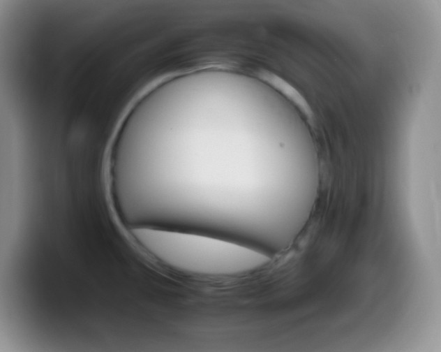 X0000099991431200805231035