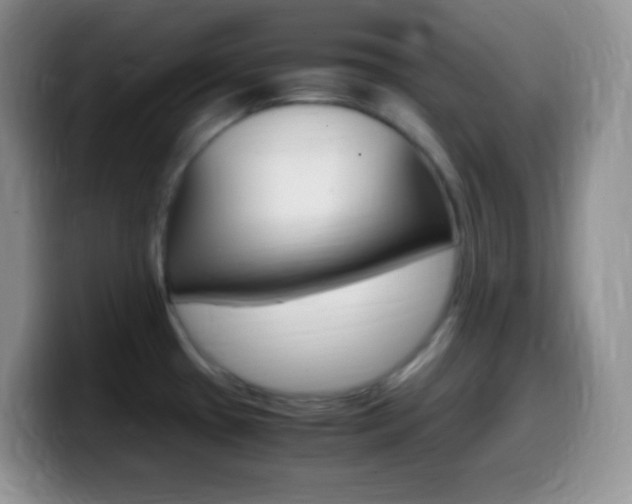 X0000099991433200805231035