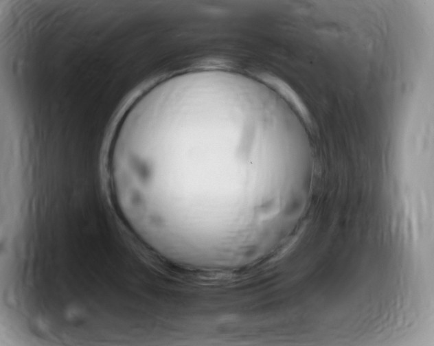 X0000099991435200805231035