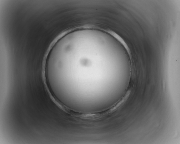 X0000099991437200805231035