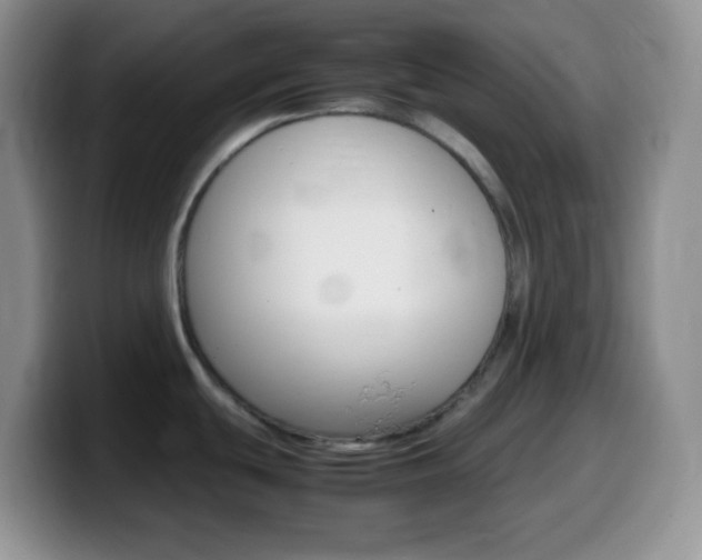 X0000099991439200805231035