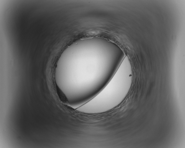 X0000099991441200805231034
