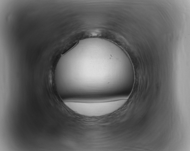 X0000099991442200805231034