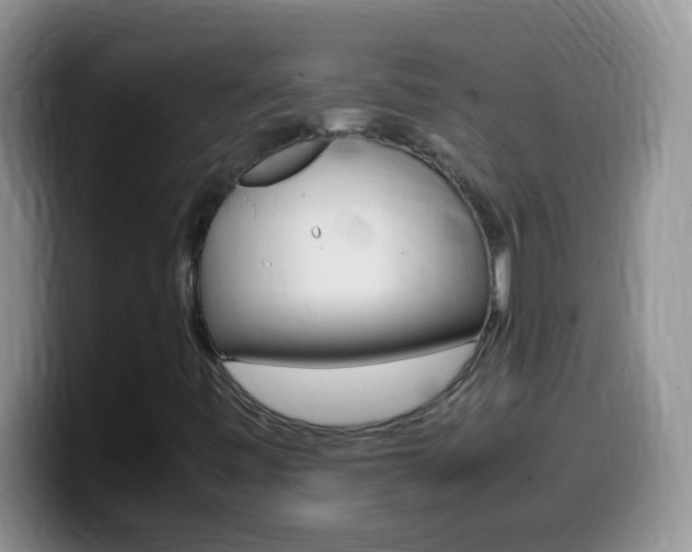 X0000099991443200805231034
