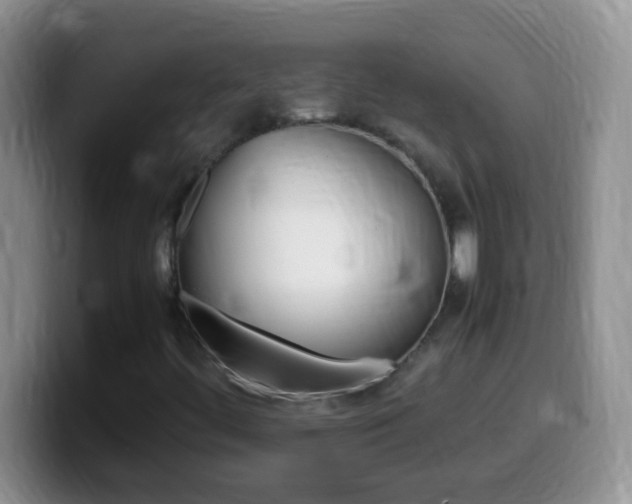 X0000099991444200805231034