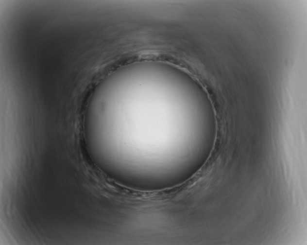 X0000099991445200805231034