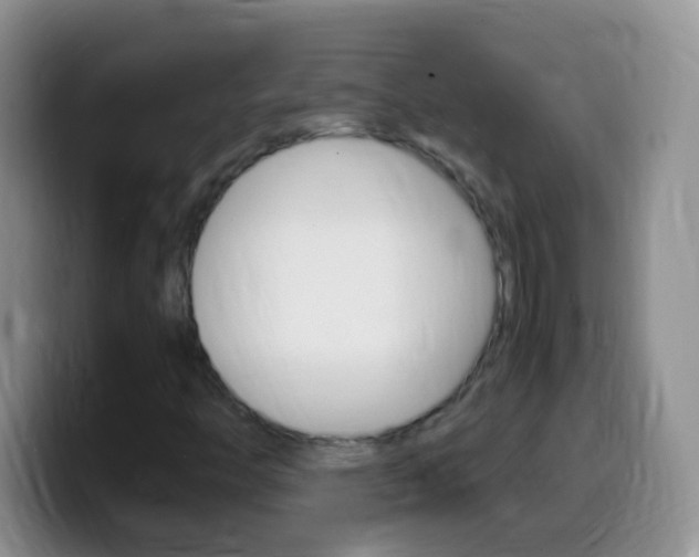 X0000099991446200805231034