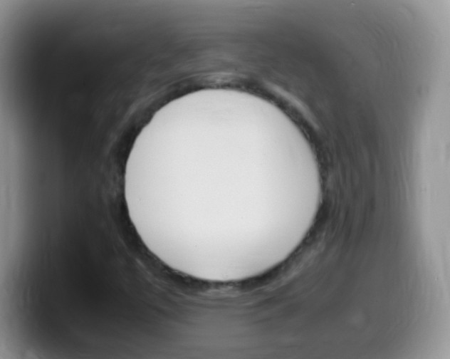 X0000099991447200805231034