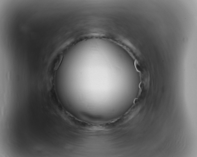 X0000099991448200805231034