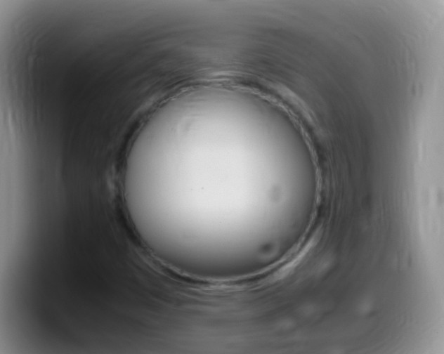 X0000099991449200805231034