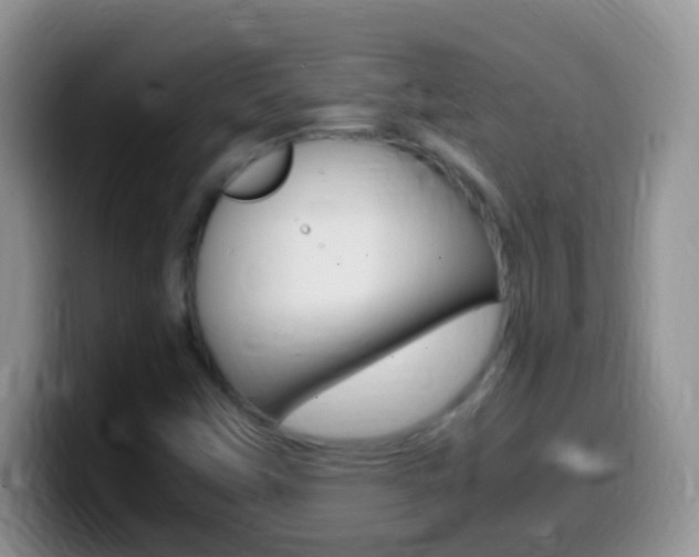 X0000099991451200805231034