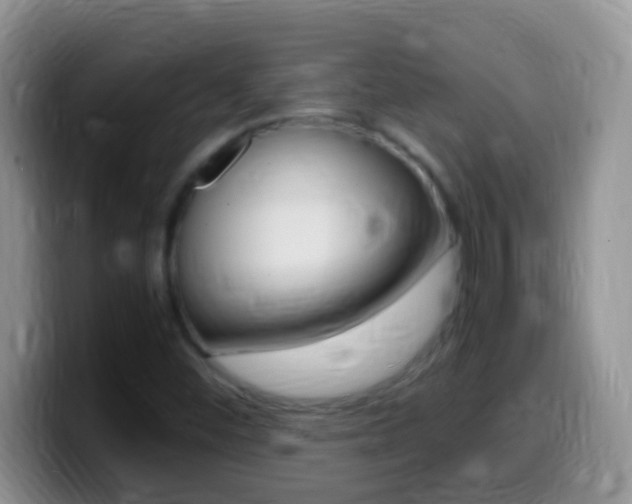 X0000099991452200805231034