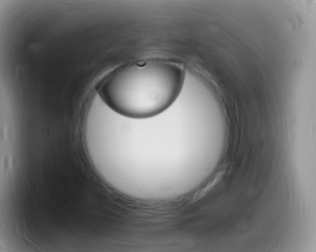X0000099991453200805231034