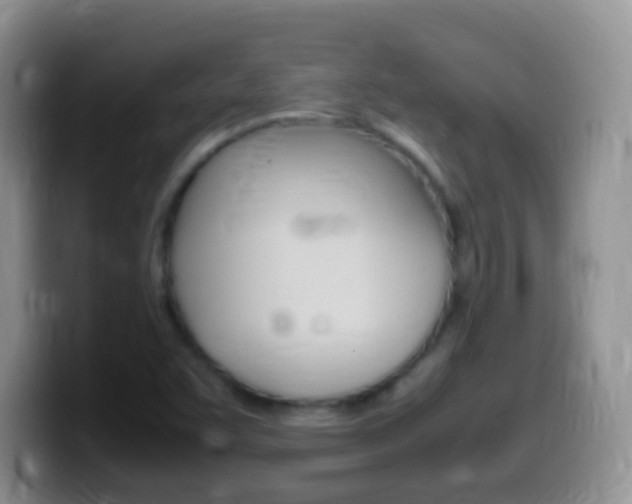 X0000099991455200805231034