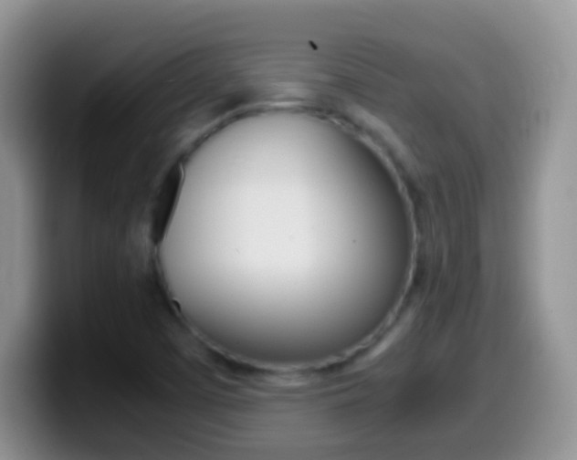 X0000099991457200805231034