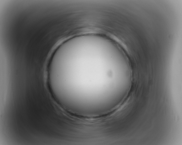 X0000099991459200805231034