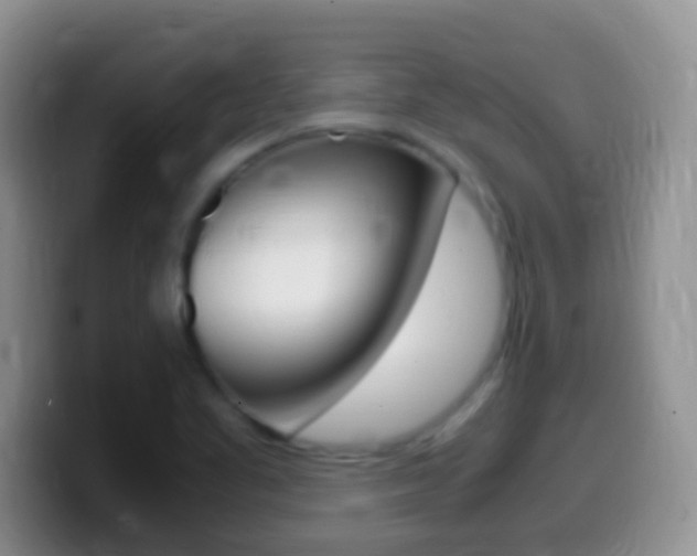 X0000099991461200805231034