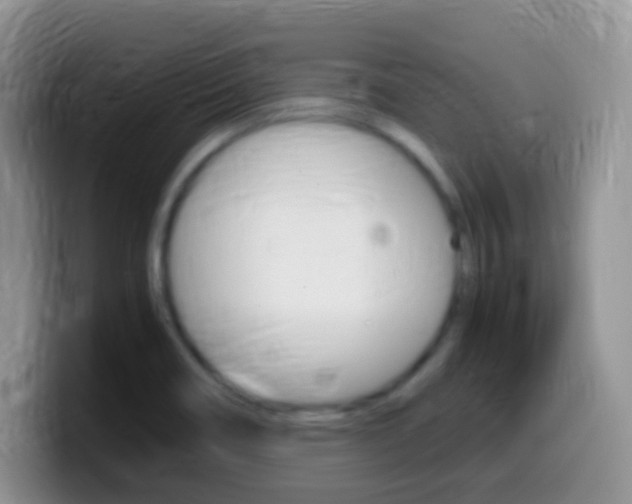 X0000099991466200805231034