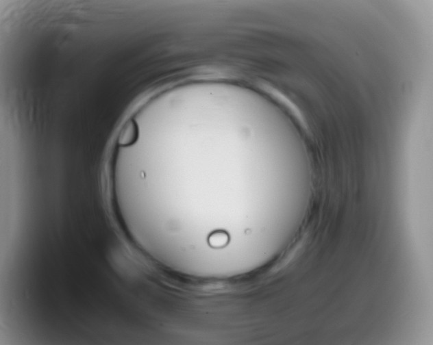 X0000099991467200805231034