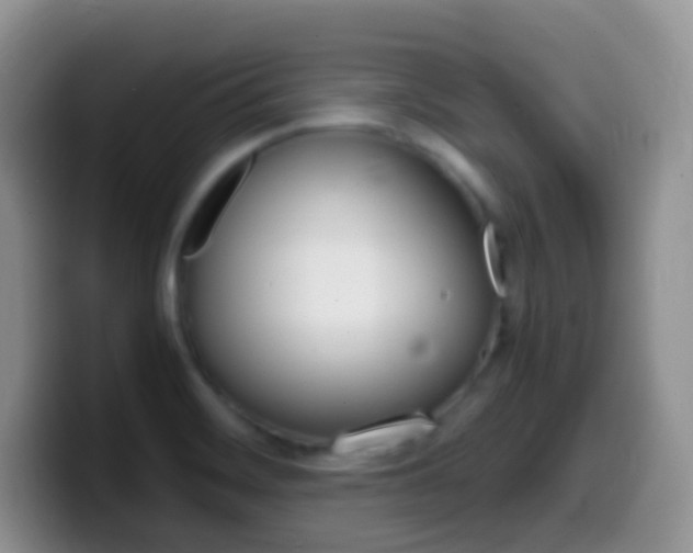 X0000099991468200805231034