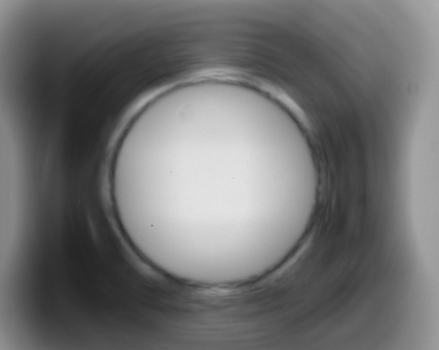 X0000099991470200805231034